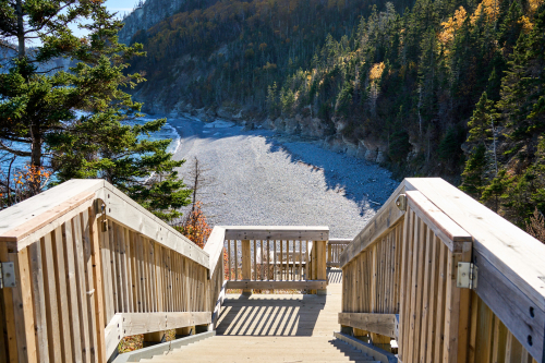 Eau,Plage,Cap Bon-ami,Milieu naturel,Forêt,Parc Forillon,Saison,Automne,Parc provincial,Jour,Temps